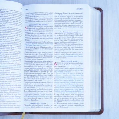 image_01fb1304-9b02-4123-8d88-24aa3332fc01