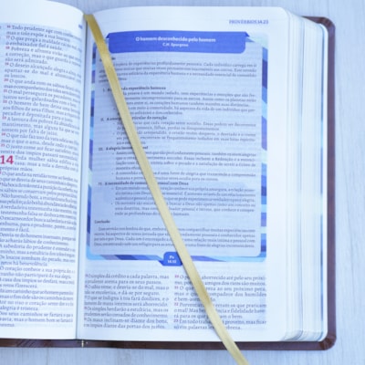 image_b08251f0-79d6-467f-8939-e458e8a467e3