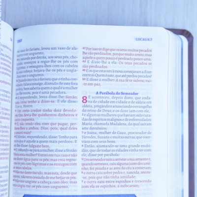 image_5c419d9a-db4e-4bfb-a9ea-3faf8e2160f7