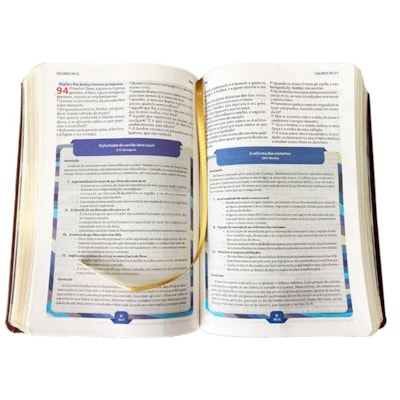 image_1260f6c2-d3eb-4704-9681-d63991cba134