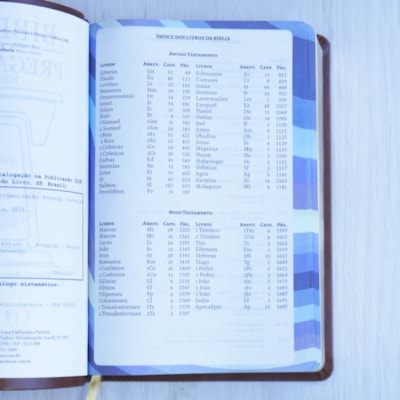 image_73a4d9e8-3b21-4171-970c-c9a6a0396523