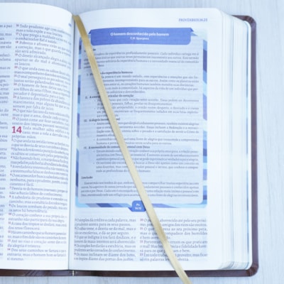 image_e33a25c2-6bfa-4a3a-9572-8ec28e6baa1a