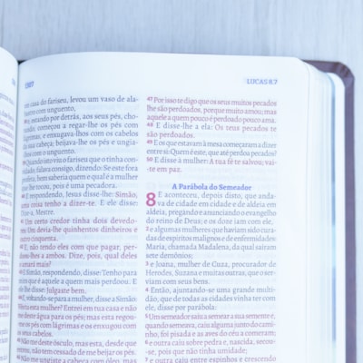 image_ad2046e5-df43-419b-8b22-180ba89afe3c