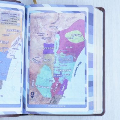 image_ea64588a-a489-48c4-87c1-038c405246b4