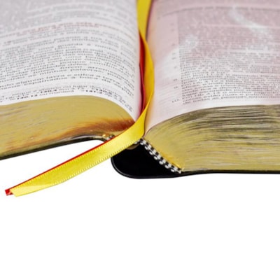 image_57cacf3c-3bab-4035-a3d6-bd85eb1a276e