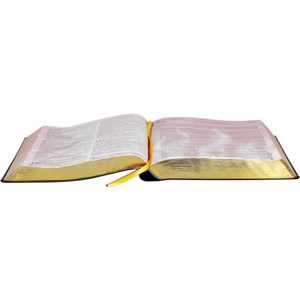 Bíblia do Pregador Pentecostal | ARC | Letra Extragigante | Capa Luxo Preta