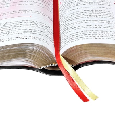 image_c94e6f50-f93d-4f96-ae45-28d227d7d4f3