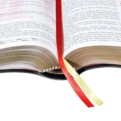 image_604c586d-34f5-4643-9a78-16d21a787a6a