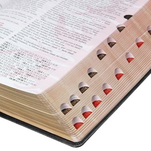 Bíblia do Pregador Pentecostal Média | ARC | Letra Normal | Capa Luxo Marrom