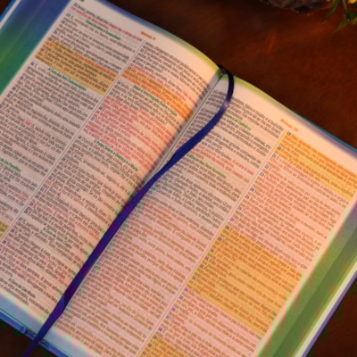 image_a8740757-2f03-4399-960e-45f80b8ddf25