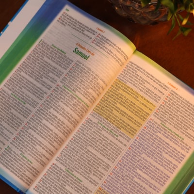 image_eab089ae-7842-4e18-8820-8107fe21d6a9