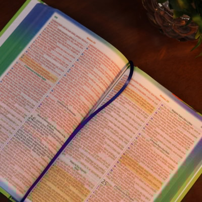 image_85422504-376b-42c8-8ea5-2f9e8ecc7678