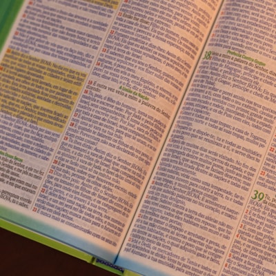 image_e84341fc-7c88-4eb0-9e0d-a7f9d1779b91