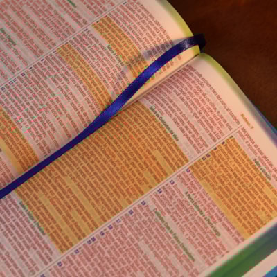 image_318c367d-52a4-4ec3-8033-d0bc0f5c3e8c