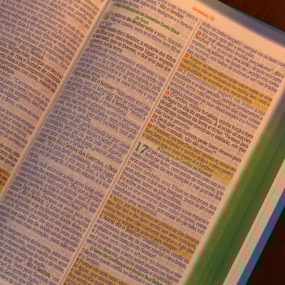 image_e6decf50-54c9-4da9-9c1d-2389e79b687a