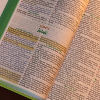 image_5321e01f-00da-475a-9e02-12c920238133