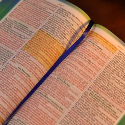 image_bc7f48d0-0472-4873-966d-260415b20d03