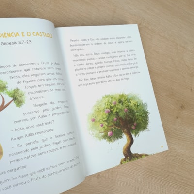 image_b2e3b339-bed3-4812-a27c-b19a7ab0168a