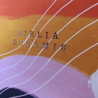 image_dc7076a6-b2c6-4b62-bc3a-43b921d201e8