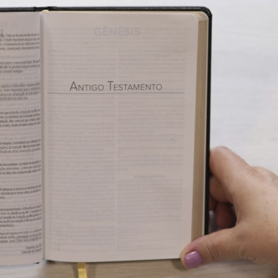 image_9785d0f9-afed-45a3-a274-d86ac8ff3de8