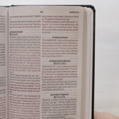 image_b774c20f-fc91-482b-bdff-2fb521ae5265