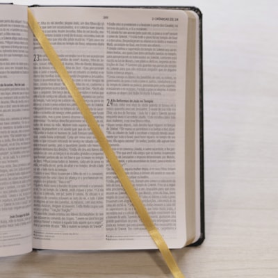 image_502680aa-22a7-467f-8493-67fc2ed748d1