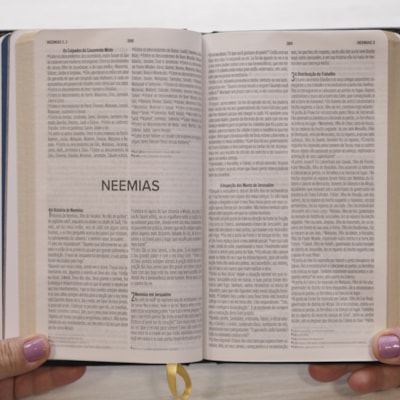 image_b3c8725b-71db-45f8-81ff-c3f6fa2975b8