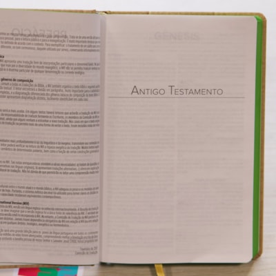 image_a53ea0f9-ef53-494f-819a-6d523c7e896b