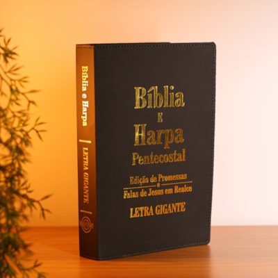 image_86e766af-2cdd-40ae-93e6-df224ea35923