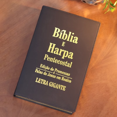 image_8d34e94d-93bf-497d-967e-a44371820b50