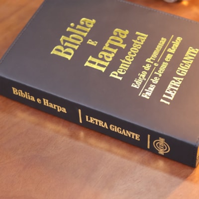 image_f98e0fd4-8810-4f4e-a533-002346e649f2