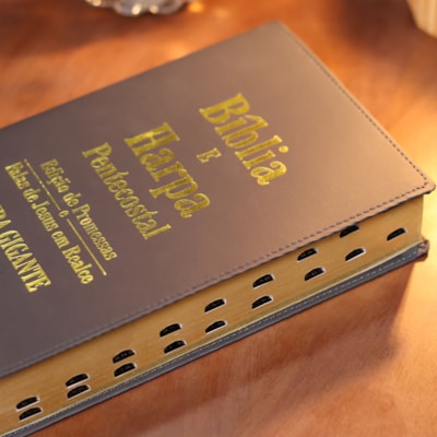 image_56bed084-c407-44e8-a68a-1c7451240d08