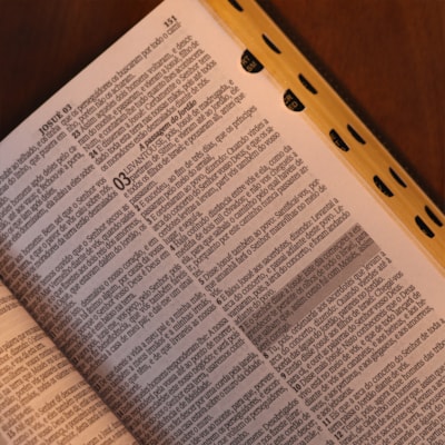 image_245b184d-00a6-4c40-8c00-33fa1708370f