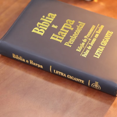 image_a8113be4-d5b6-4ca7-a804-d6728b3b0f21