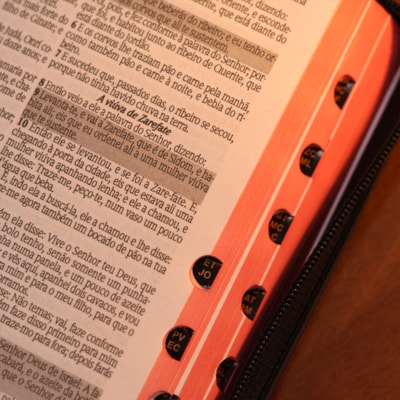 image_cf8637a2-d1c0-4f05-a3ee-07133e2149ab