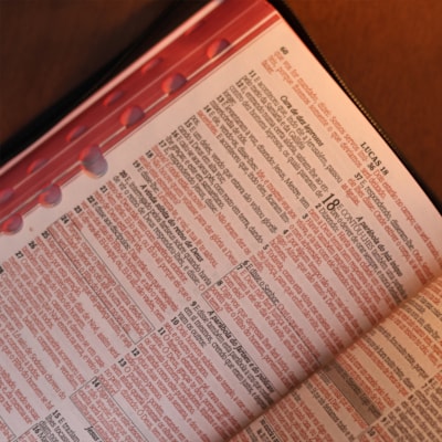 image_482636ad-0398-4c02-b547-b190e1d0f3c4