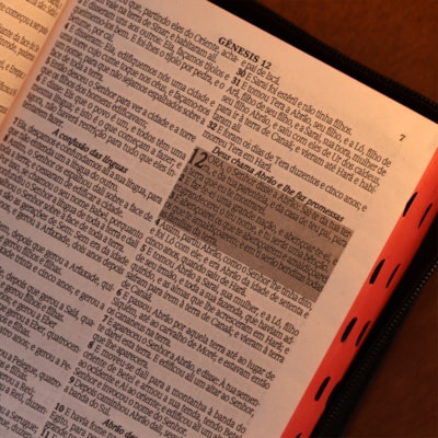 image_1f16b407-6409-41ee-9686-f4339133f1a1