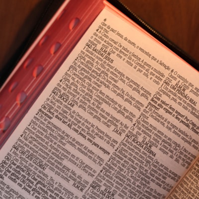 image_509f8e18-19e4-4894-9fd5-589243110de1