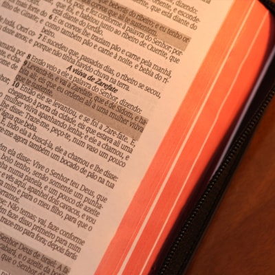 image_9889eaf3-6758-4f7c-8026-3012513ea882