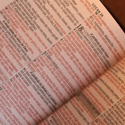 image_10d8c568-db51-476d-b0cd-a57f8b10b1a3