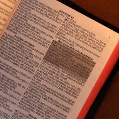 image_cbe6e934-5fe0-4551-be78-7d1e95cc967a