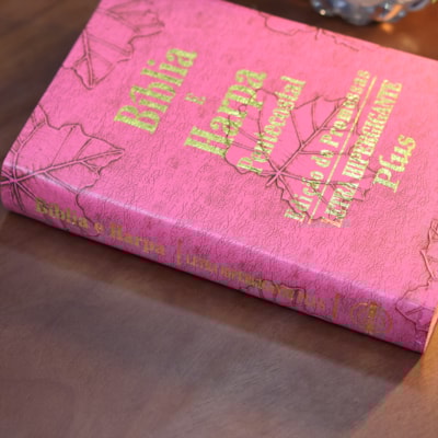 image_39986091-d0c3-4d18-8a73-566a07cc5f4f