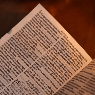 image_d5749dc1-5c8b-4d35-858d-7e5f3207d9be