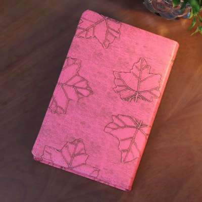 image_e03b5712-acdd-4589-95af-5075461f2c4c