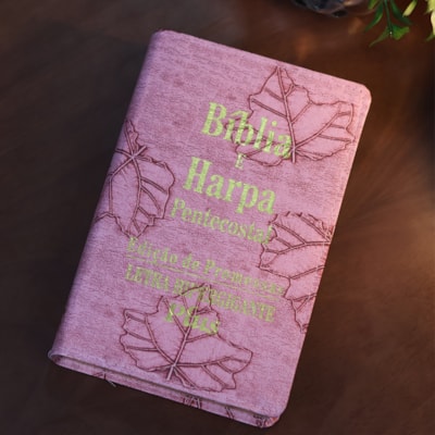 image_11ab2e66-c17c-46e2-8e8a-f832c58054cc