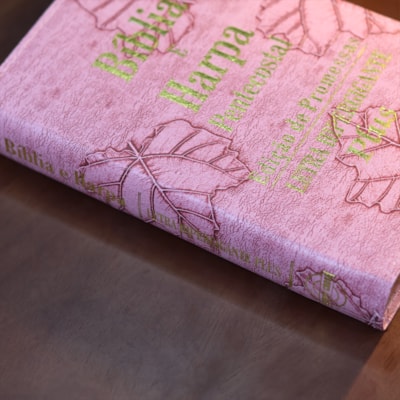 image_118f8889-82a2-4bab-a070-ecbde372044c