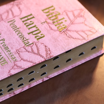 image_105ee107-1d97-4d4c-a436-d30a02e67f9b