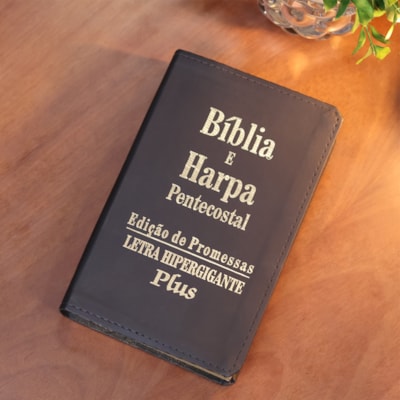 image_bc43ef28-7180-4a36-8cb7-fb3f3d1c63a5