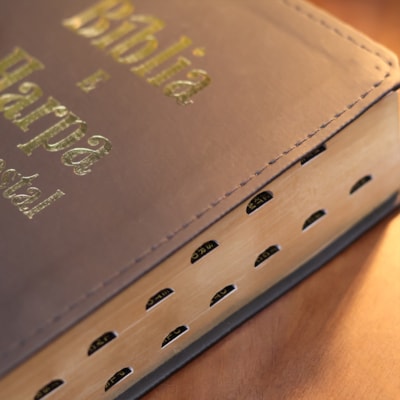 image_030307ae-0b83-4904-aa8f-469937bfae68