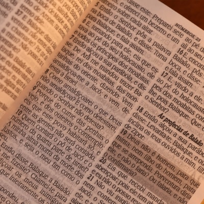 image_311fd1cd-9880-415f-a79b-2aac160704a0